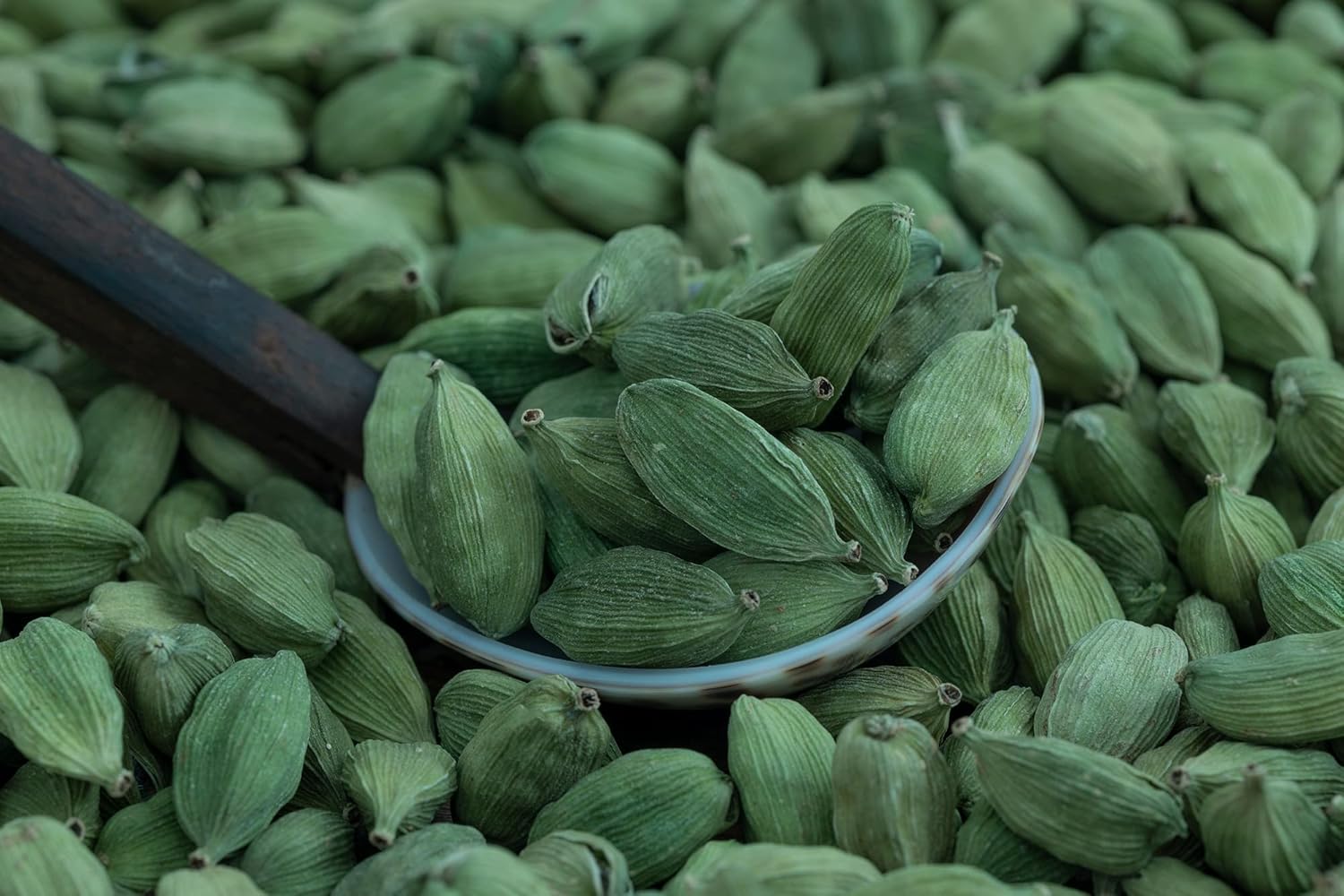 Green cardamom pods in a spoon over a bed of freshly graded pods